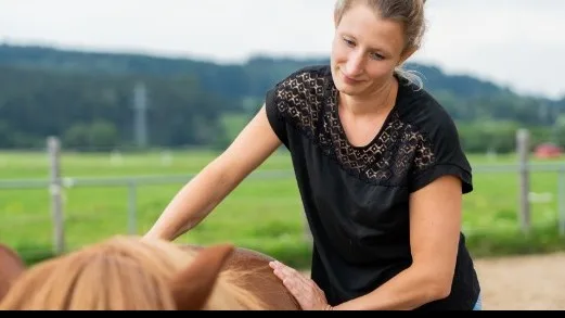 Pferdeosteopathie Anna Mayr Titelbild