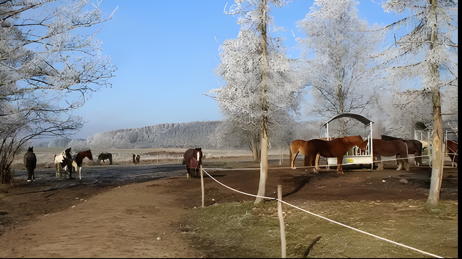 Pferdehof Zur Größermühle Titelbild